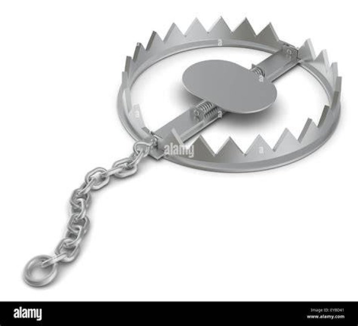 Can you open a bear trap with your hands?