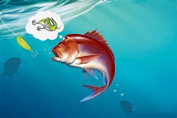 Do fish remember being caught?