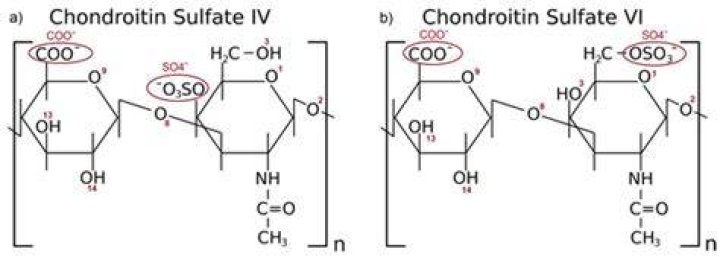 Is chondroitin and sulfate the same?