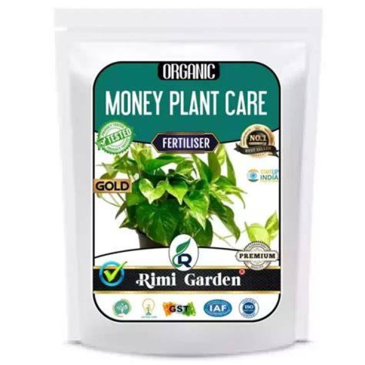 What is the best fertilizer for money plant?