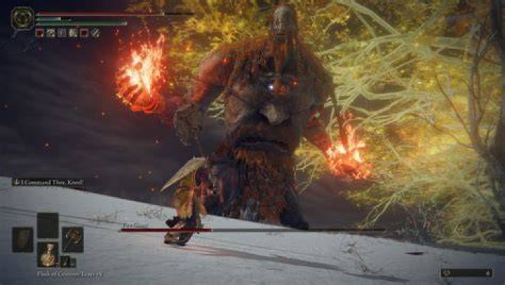 What LVL should I be to fight fire giant?