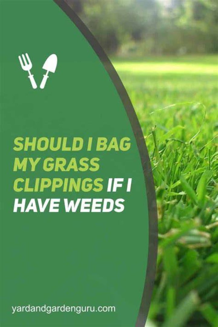 When should I not bag my grass?
