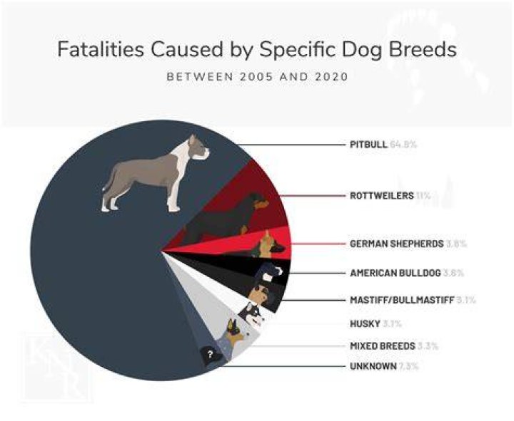 Which dog breed kills most humans?