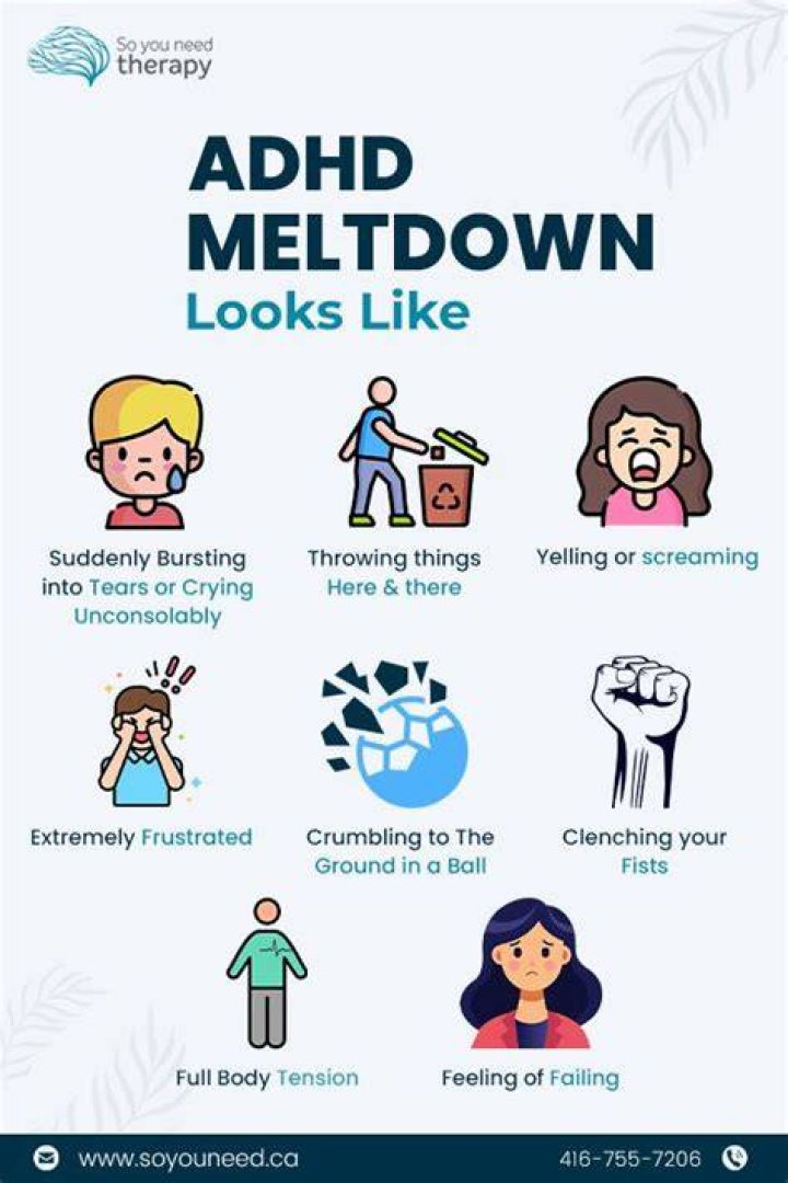 Why do children with ADHD have meltdowns?
